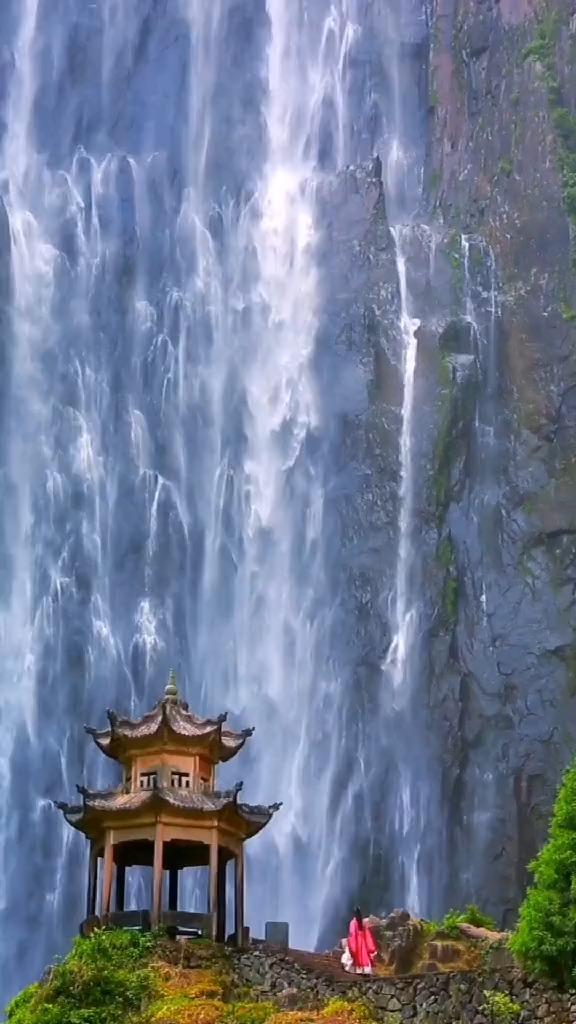 龙炎飞